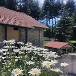 Tatil Evi ,,родопски уют 