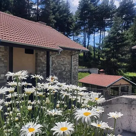 度假居 ,,родопски уют 