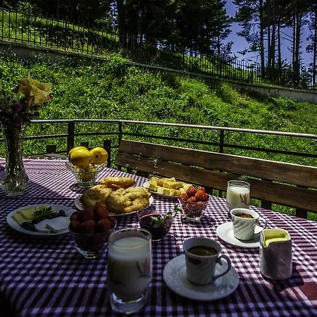 ,,родопски уют 